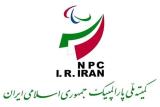 انتخابات بدون چالش برای كمیته پارالمپیك، آب از آب تكان نمی خورد!