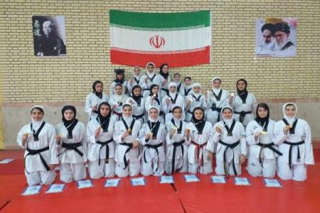 ۴۵۰۰ بانوی تكواندو كار در اردبیل فعالیت می نمایند