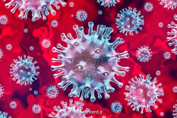 واكنش ایمنی مناسب، شدت مبتلاشدن به كووید- 19 را می كاهد